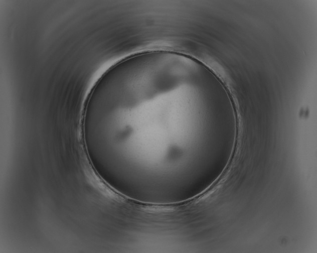 X0000091541296200708241725