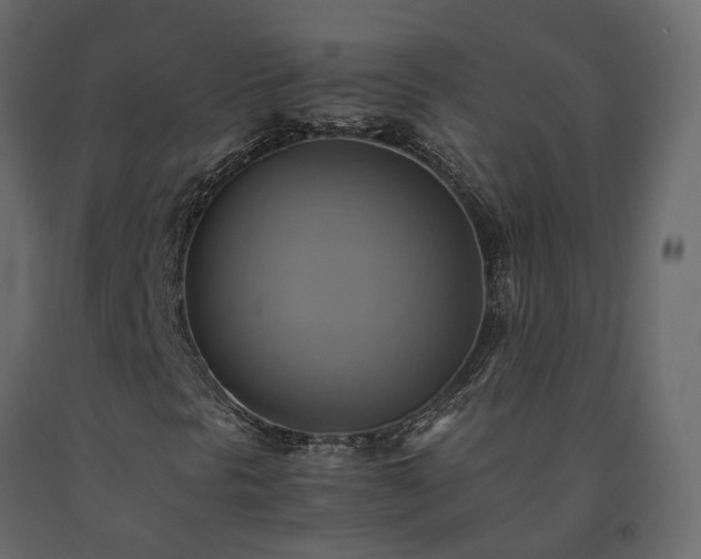 X0000091541297200708241724