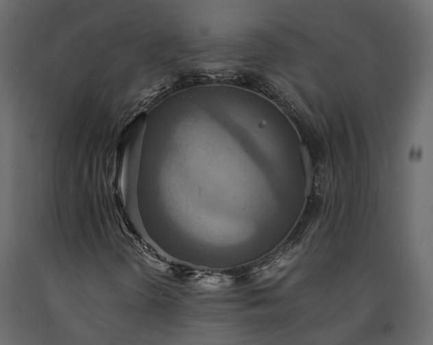 X0000091541298200708241724