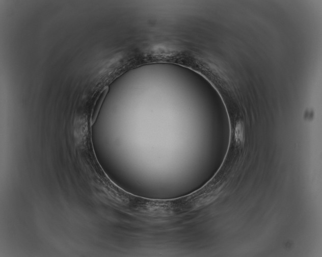 X0000091541299200708241724