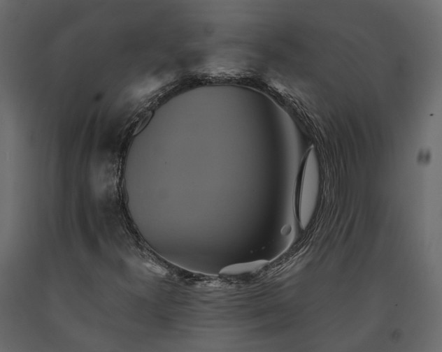 X0000091541300200708241724