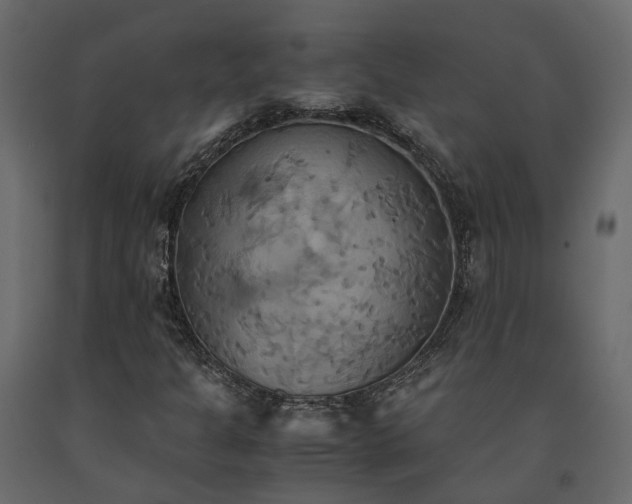X0000091541301200708241724