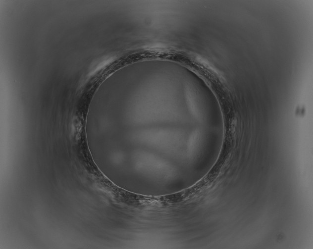 X0000091541302200708241724