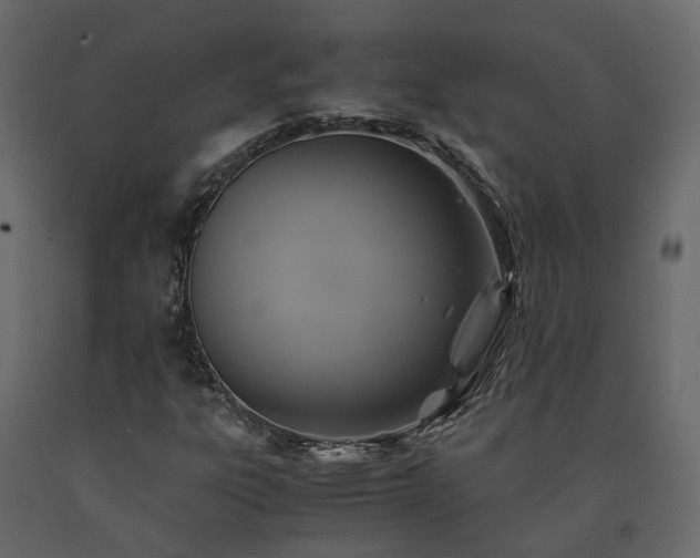 X0000091541303200708241724