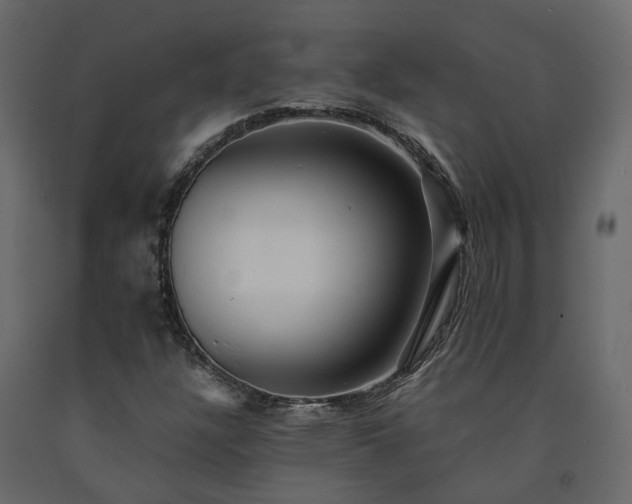 X0000091541304200708241724