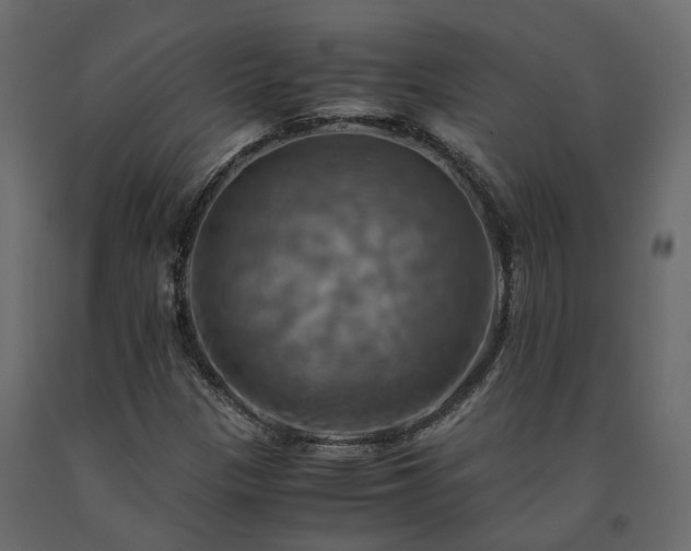 X0000091541305200708241724