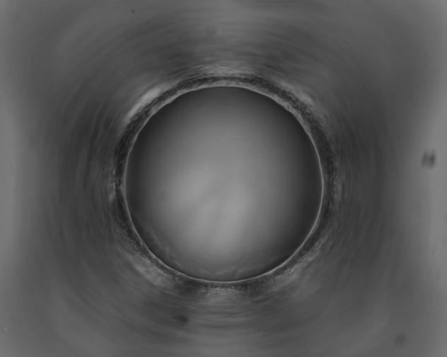 X0000091541306200708241724