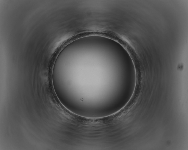 X0000091541307200708241724