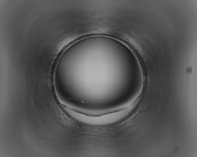 X0000091541308200708241724