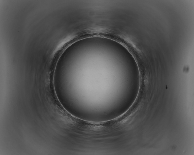 X0000091541309200708241724