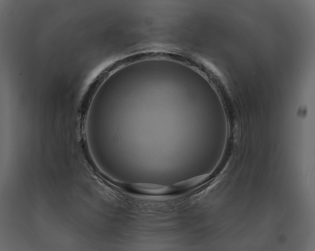X0000091541310200708241724