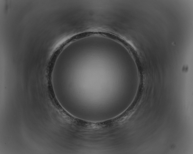 X0000091541311200708241724