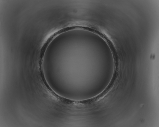 X0000091541312200708241724
