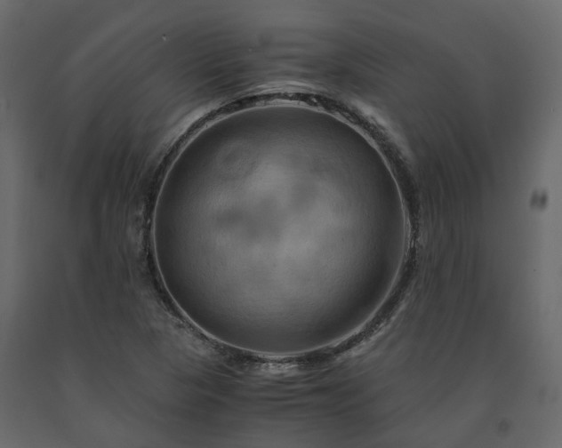 X0000091541313200708241724