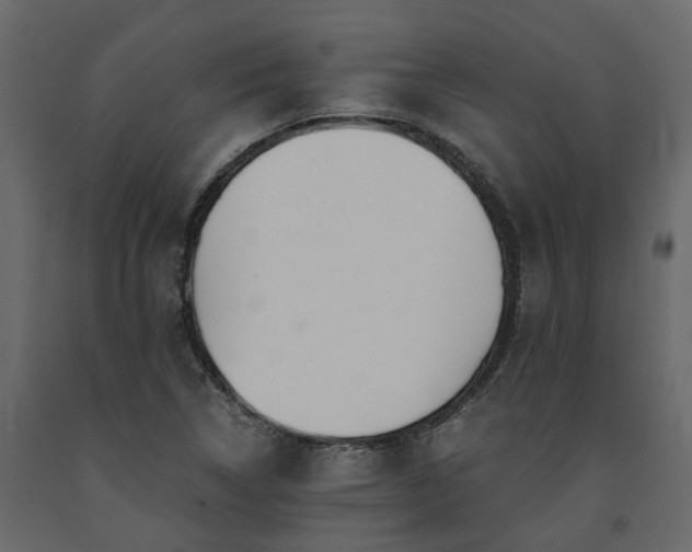 X0000091541314200708241725
