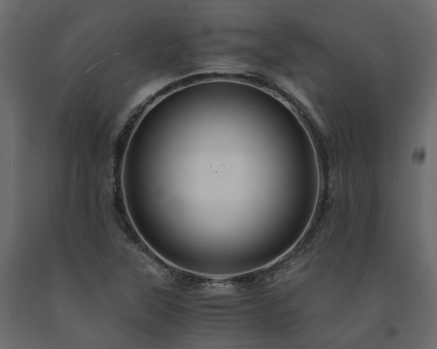 X0000091541315200708241725
