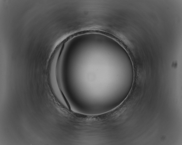 X0000091541316200708241725