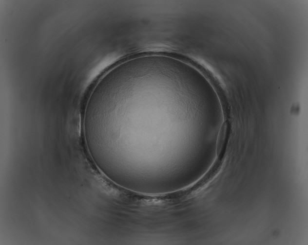 X0000091541317200708241725