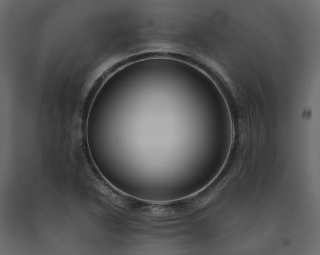 X0000091541318200708241725