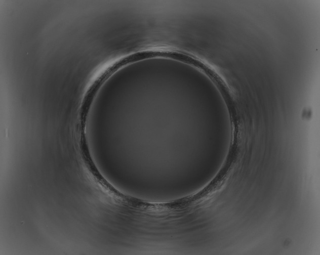 X0000091541319200708241725