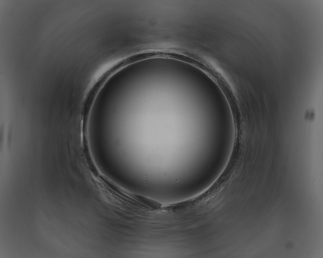X0000091541320200708241725