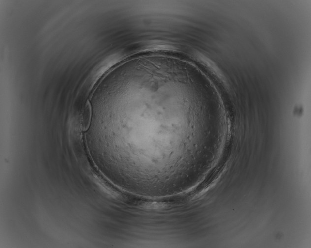 X0000091541321200708241725