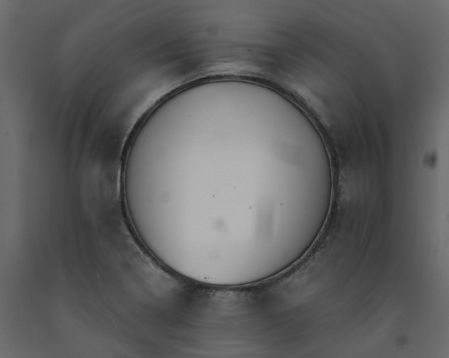 X0000091541322200708241725