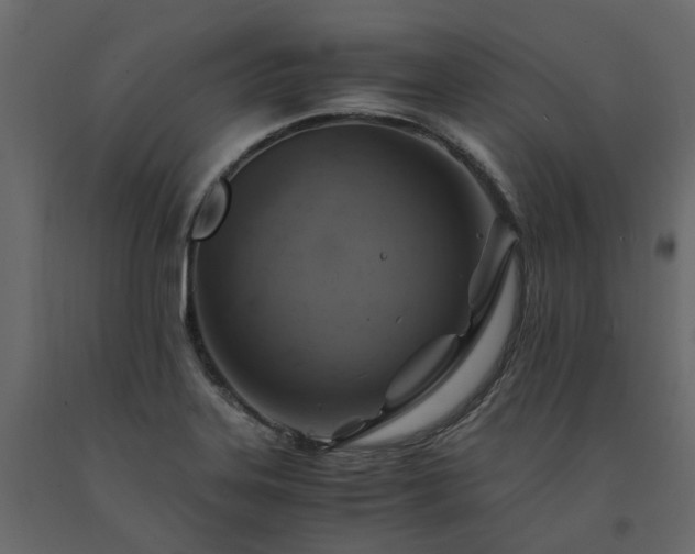 X0000091541323200708241725
