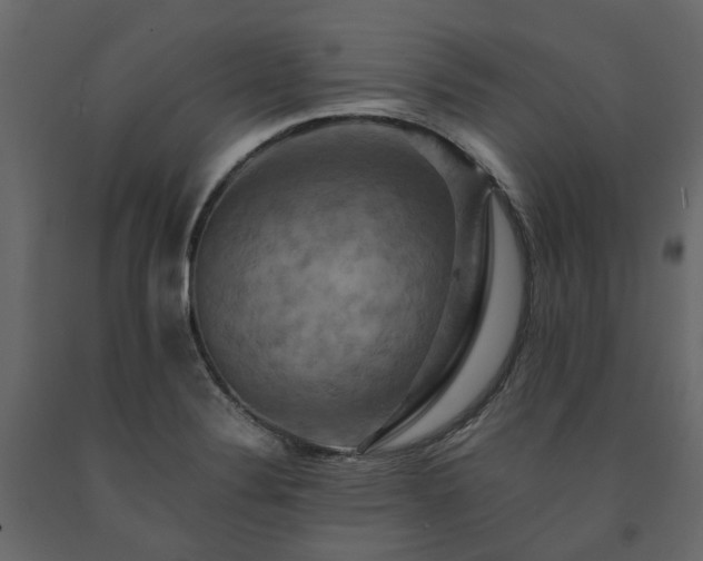 X0000091541324200708241725