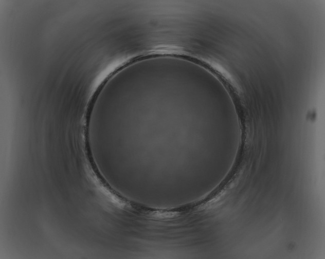 X0000091541325200708241725
