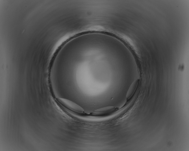 X0000091541326200708241725