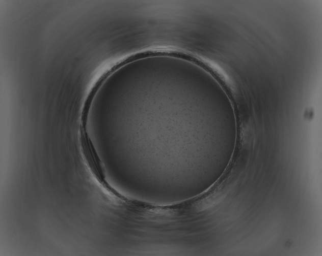 X0000091541327200708241725