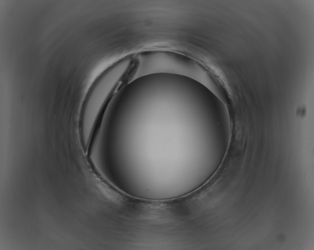 X0000091541328200708241725
