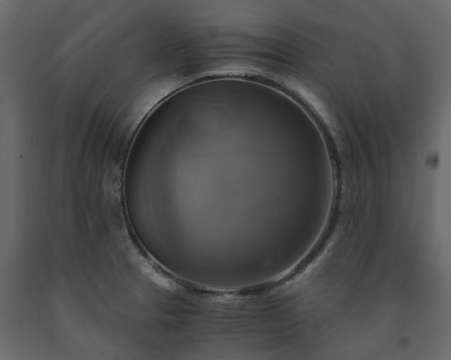 X0000091541329200708241725