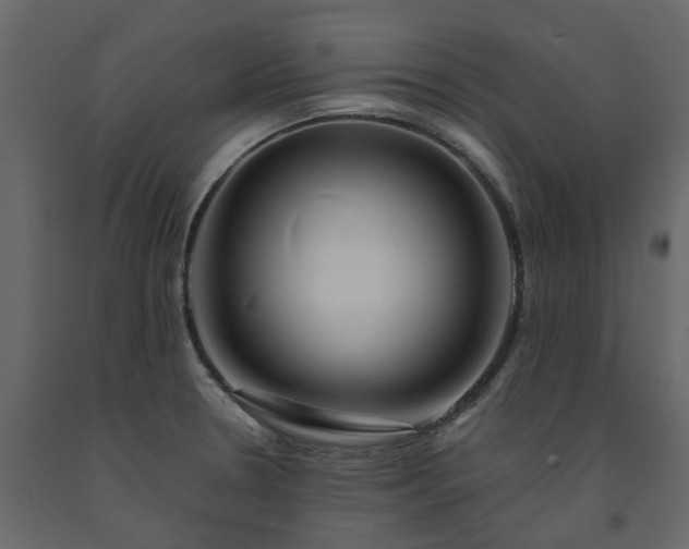 X0000091541330200708241725