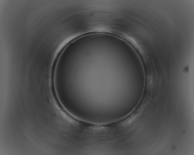 X0000091541331200708241725