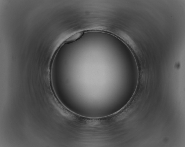 X0000091541332200708241725