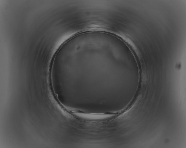 X0000091541333200708241725