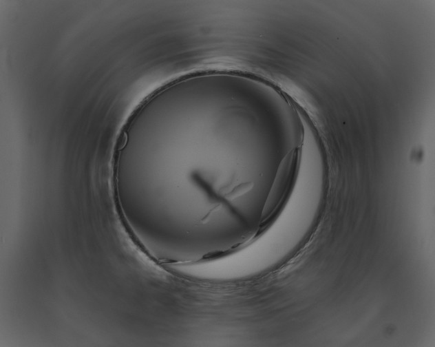 X0000091541334200708241725