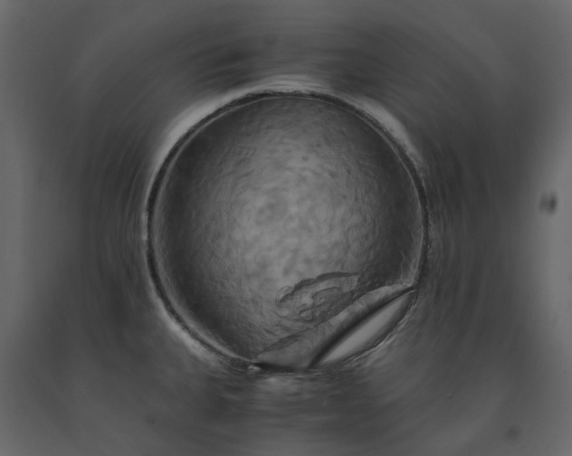 X0000091541335200708241725