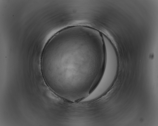 X0000091541336200708241725
