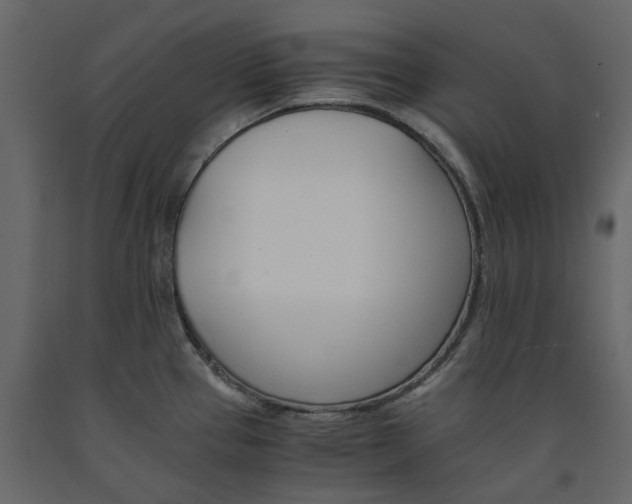 X0000091541337200708241725