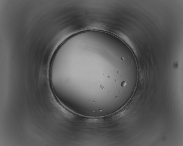 X0000091541339200708241725