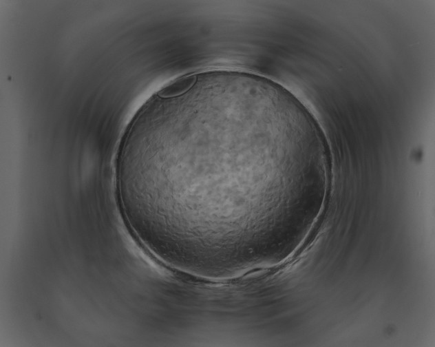X0000091541341200708241725
