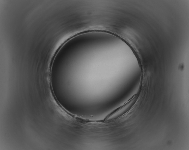X0000091541342200708241725