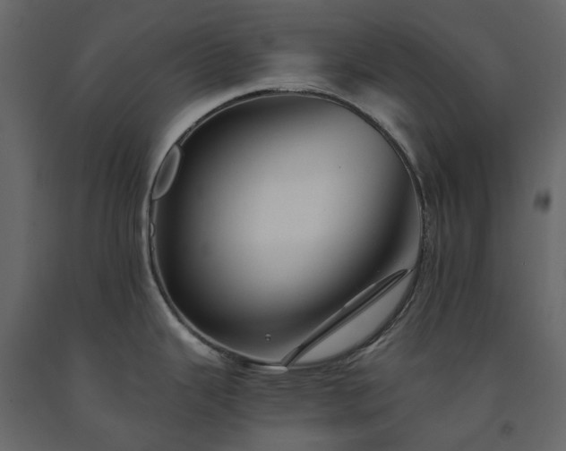 X0000091541343200708241725