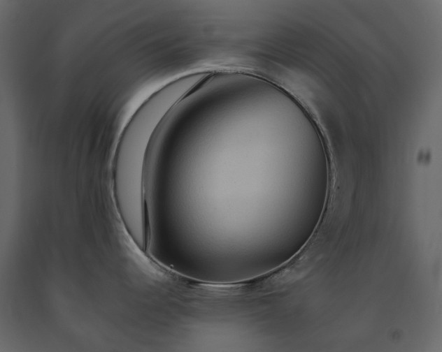 X0000091541344200708241725