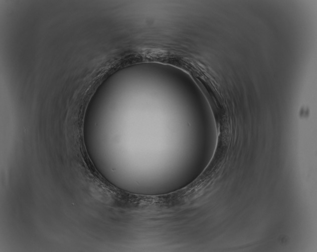 X0000091541345200708241724