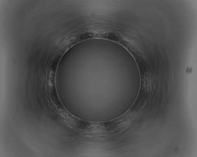 X0000091541346200708241724