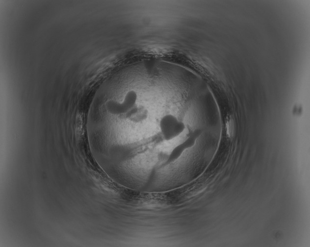 X0000091541347200708241724